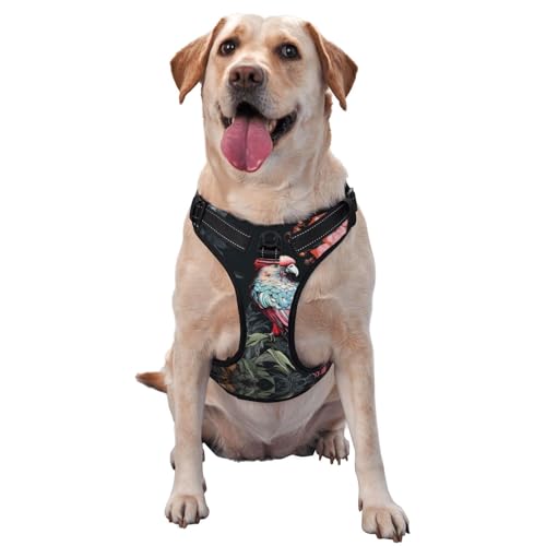 Hummingbird of Prey Haustier-Traktionsweste, bedruckt, Größe XL, ideal für Spaziergänge mit dem Hund, Wandern, tägliche Reisen Hummingbird of Prey Haustier-Traktionsweste, bedruckt, Größe XL, ideal für Spaziergänge mit dem Hund, Wandern, tägliche Reisen von WZYCWB