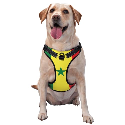 Hundeweste mit Flagge von Senegal, groß, bedruckt, ideal für Spaziergänge mit dem Hund, Wandern, tägliche Reisen Hundeweste mit Flagge von Senegal, groß, bedruckt, ideal für Spaziergänge mit dem Hund, Wandern, tägliche Reisen von WZYCWB