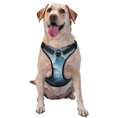 Icebergs Haustier-Traktionsweste, bedruckt, Größe M, ideal für Spaziergänge mit dem Hund, Wandern, tägliche Reisen Icebergs Haustier-Traktionsweste, bedruckt, Größe M, ideal für Spaziergänge mit dem Hund, Wandern, tägliche Reisen von WZYCWB