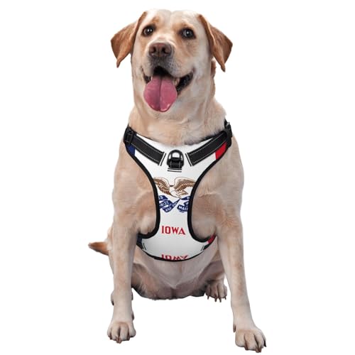 Iowa Traktionsweste mit Staatsflagge, Größe M, bedruckt, ideal für Spaziergänge mit dem Hund, Wandern, tägliche Reisen Iowa Traktionsweste mit Staatsflagge, Größe M, bedruckt, ideal für Spaziergänge mit dem Hund, Wandern, tägliche Reisen von WZYCWB