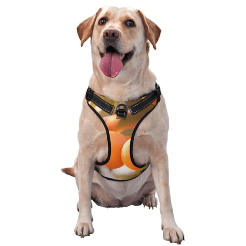 Tangerine Haustier-Traktionsweste, bedruckt, klein, ideal für Spaziergänge mit dem Hund, Wandern, tägliche Reisen Tangerine Haustier-Traktionsweste, bedruckt, klein, ideal für Spaziergänge mit dem Hund, Wandern, tägliche Reisen von WZYCWB
