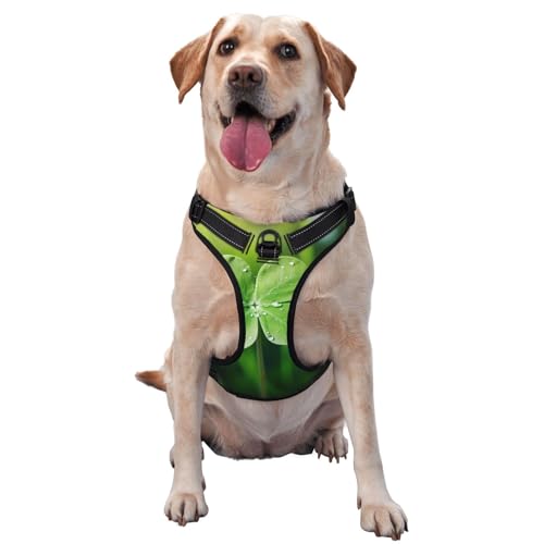 Vierblättriges Kleeblatt-Design, Größe XL, bedruckt, ideal für Spaziergänge mit dem Hund, Wandern, tägliche Reisen Vierblättriges Kleeblatt-Design, Größe XL, bedruckt, ideal für Spaziergänge mit dem Hund, Wandern, tägliche Reisen von WZYCWB