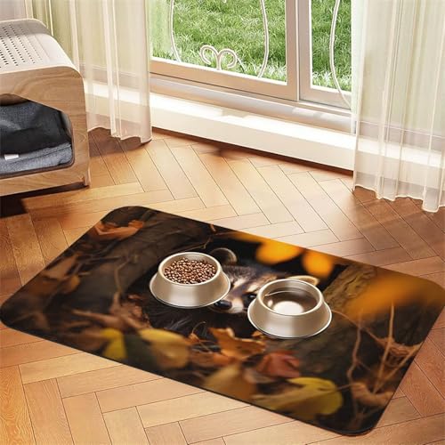 WZYCWB 30 x 45 cm Nerdy Waschbär gemustertes Haustier-Tischset – für Katzen- und Hundefutter-Matten, faltbar und einfach zu verstauen WZYCWB 30 x 45 cm Nerdy Waschbär gemustertes Haustier-Tischset – für Katzen- und Hundefutter-Matten, faltbar und einfach zu verstauen von WZYCWB
