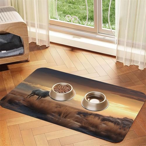 WZYCWB 40 x 60 cm, gemustertes Haustier-Tischset, Futtermatte für Katzen und Hunde, faltbar und einfach zu verstauen WZYCWB 40 x 60 cm, gemustertes Haustier-Tischset, Futtermatte für Katzen und Hunde, faltbar und einfach zu verstauen von WZYCWB