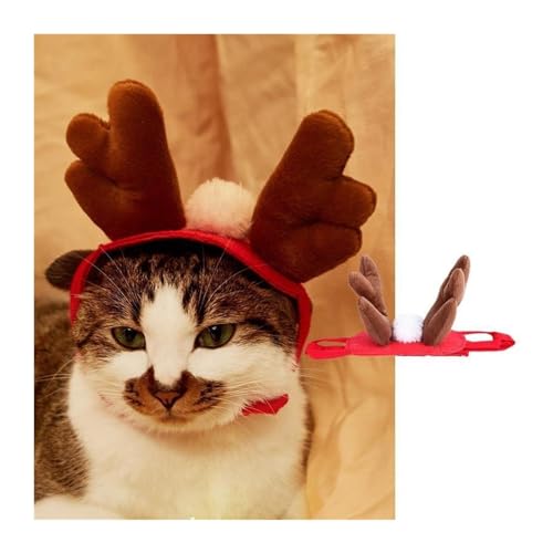 Feiertags-Haustierkostüm Weihnachts-Haustierzubehör, flauschiges Glöckchen-Stirnband for Hunde und Katzen, grünes und rotes Schleife-Elfen-Set Haustier-Feiertagskostüm-Anzug ( Color : 2 , Size : M ) Feiertags-Haustierkostüm Weihnachts-Haustierzubehör, flauschiges Glöckchen-Stirnband for Hunde und Katzen, grünes und rotes Schleife-Elfen-Set Haustier-Feiertagskostüm-Anzug ( Color : 2 , Size : M ) von WaLdor