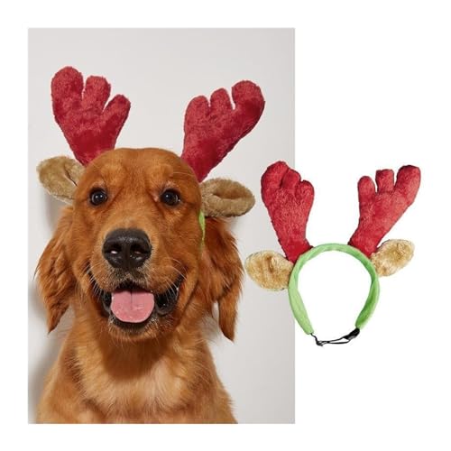 Feiertags-Haustierkostüm Weihnachts-Haustierzubehör, flauschiges Glöckchen-Stirnband for Hunde und Katzen, grünes und rotes Schleife-Elfen-Set Haustier-Feiertagskostüm-Anzug ( Color : 7 , Size : M ) Feiertags-Haustierkostüm Weihnachts-Haustierzubehör, flauschiges Glöckchen-Stirnband for Hunde und Katzen, grünes und rotes Schleife-Elfen-Set Haustier-Feiertagskostüm-Anzug ( Color : 7 , Size : M ) von WaLdor