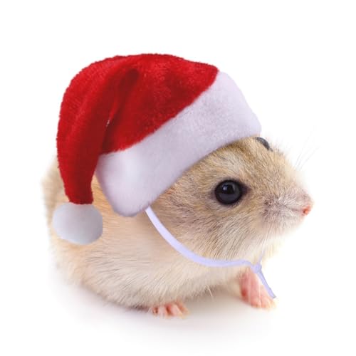 WaLdor Feiertags-Haustierkostüm Weihnachtsdekorationen for Haustiere, Hamsterhüte, rote Hüte for kleine Haustiere, festlicher lustiger Kopfschmuck Haustier-Feiertagskostüm-Anzug (Size : S) von WaLdor