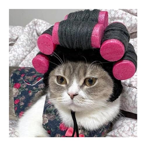 WaLdor Tierhaarkostüm Haustier-Perücke, Hunde-Katzen-Hut, niedliche kleine Hunde-Kopfbedeckung, Haustier-Foto-Kopfschmuck, Zubehör-Requisiten Lustige Hunde-Katze-Cosplay-Perücke (Color : A, Size : M) WaLdor Tierhaarkostüm Haustier-Perücke, Hunde-Katzen-Hut, niedliche kleine Hunde-Kopfbedeckung, Haustier-Foto-Kopfschmuck, Zubehör-Requisiten Lustige Hunde-Katze-Cosplay-Perücke (Color : A, Size : M) von WaLdor