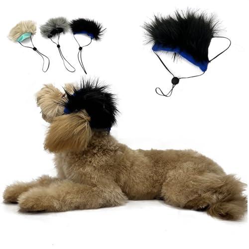 WaLdor Tierhaarkostüm Haustier-Perücken-Set, Hunde- und Katzen-Perücke, Haustier-Zubehör, Kopfbedeckung, Hut, Haustier-Kleidung Lustige Hunde-Katze-Cosplay-Perücke (Color : Schwarz) von WaLdor