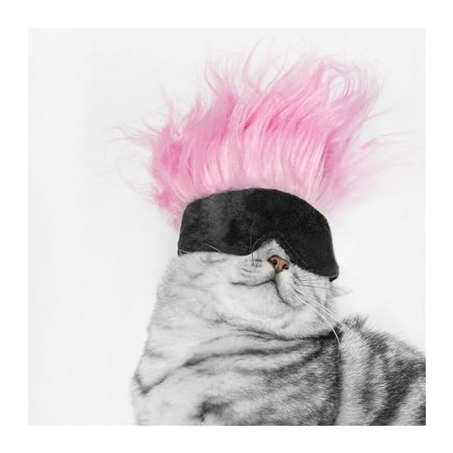WaLdor Tierhaarkostüm Haustier-Perückenmütze, Katzenperücke, lustige Partymütze for Haustiere, Hundeperücke Lustige Hunde-Katze-Cosplay-Perücke (Color : A) von WaLdor