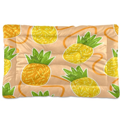 Waassud Ananas-Hundebett, niedlich, dick, rutschfest, kaufest, Haustierbett für Hunde und Katzen, weich, waschbar, für Boden, Sofa, Auto, 91,4 x 61 cm Waassud Ananas-Hundebett, niedlich, dick, rutschfest, kaufest, Haustierbett für Hunde und Katzen, weich, waschbar, für Boden, Sofa, Auto, 91,4 x 61 cm von Waassud