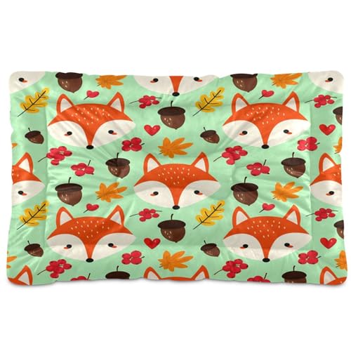 Waassud Cute Fox Thick Dog Bed Mat Non-Slip Chew-Resistant Pet Bed for Dogs Cats Soft Washable Kennel Crate Pad for Floor Sofa Car 45.7 cm x 61.0 cm Waassud Cute Fox Thick Dog Bed Mat Non-Slip Chew-Resistant Pet Bed for Dogs Cats Soft Washable Kennel Crate Pad for Floor Sofa Car 45.7 cm x 61.0 cm von Waassud