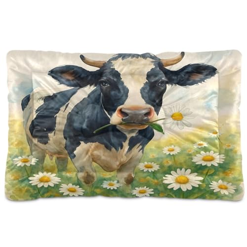 Waassud Daisy Flower Kuh, dickes Hundebett, Matte, rutschfest, kaufest, Haustierbett für Hunde, Katzen, weich, waschbar, Hundehütte, Kistenunterlage für Boden, Sofa, Auto, 45,7 x 61 cm Waassud Daisy Flower Kuh, dickes Hundebett, Matte, rutschfest, kaufest, Haustierbett für Hunde, Katzen, weich, waschbar, Hundehütte, Kistenunterlage für Boden, Sofa, Auto, 45,7 x 61 cm von Waassud