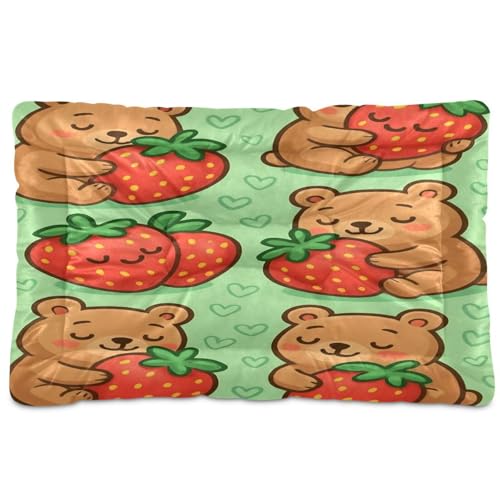Waassud Dicke Hundebett-Matte, Cartoon-Bären, rutschfest, kaufest, Haustierbett für Hunde, Katzen, weich, waschbar, Hundehüttenkissen für Boden, Sofa, Auto, 45,7 x 61 cm Waassud Dicke Hundebett-Matte, Cartoon-Bären, rutschfest, kaufest, Haustierbett für Hunde, Katzen, weich, waschbar, Hundehüttenkissen für Boden, Sofa, Auto, 45,7 x 61 cm von Waassud