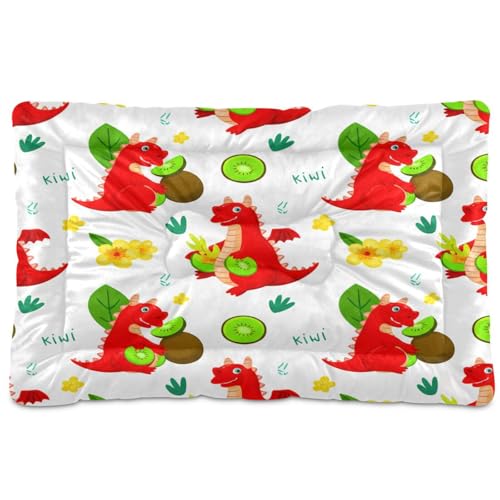 Waassud Dicke Hundebett-Matte mit Cartoon-Drachen, rutschfest, kaufest, Haustierbett für Hunde, Katzen, weich, waschbar, Hundehütte, Kistenunterlage für Boden, Sofa, Auto, 91,4 x 61 cm Waassud Dicke Hundebett-Matte mit Cartoon-Drachen, rutschfest, kaufest, Haustierbett für Hunde, Katzen, weich, waschbar, Hundehütte, Kistenunterlage für Boden, Sofa, Auto, 91,4 x 61 cm von Waassud