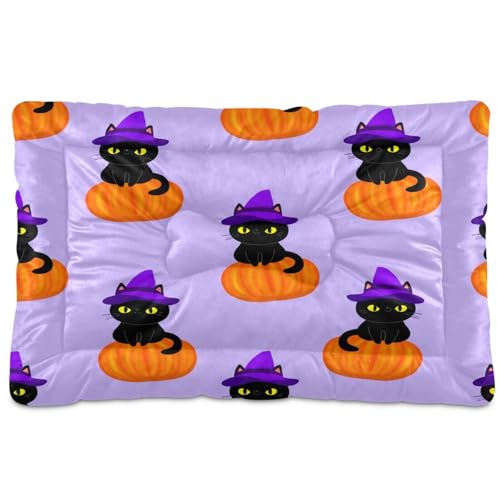 Waassud Dickes Hundebett, Hexe, Katze, Halloween-Kürbisse, rutschfest, kaufest, Haustierbett für Hunde, Katzen, weich, waschbar, Hundehütte, Kistenpolster für Boden, Sofa, Auto, 91,4 x 61 cm Waassud Dickes Hundebett, Hexe, Katze, Halloween-Kürbisse, rutschfest, kaufest, Haustierbett für Hunde, Katzen, weich, waschbar, Hundehütte, Kistenpolster für Boden, Sofa, Auto, 91,4 x 61 cm von Waassud