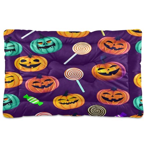 Waassud Dickes Hundebett, buntes Halloween-Kürbis-Motiv, rutschfest, kaufest, Haustierbett für Hunde, Katzen, weich, waschbar, Hundehütte, für Boden, Sofa, Auto, 91,4 x 61 cm Waassud Dickes Hundebett, buntes Halloween-Kürbis-Motiv, rutschfest, kaufest, Haustierbett für Hunde, Katzen, weich, waschbar, Hundehütte, für Boden, Sofa, Auto, 91,4 x 61 cm von Waassud