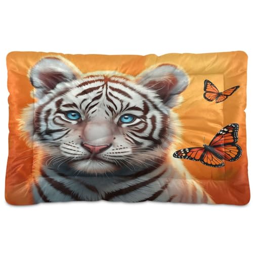 Waassud Dickes Hundebett, rutschfest, kaufest, für Hunde, Katzen, weich, waschbar, Hundehütte, für Boden, Sofa, Auto, 45,7 x 61 cm Waassud Dickes Hundebett, rutschfest, kaufest, für Hunde, Katzen, weich, waschbar, Hundehütte, für Boden, Sofa, Auto, 45,7 x 61 cm von Waassud
