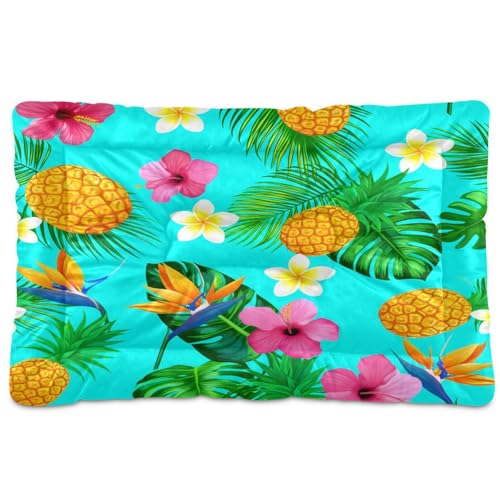 Waassud Dickes Hundebett, tropische Ananas, rutschfest, kaufest, Haustierbett für Hunde und Katzen, weich, waschbar, Hundehüttenkissen für Boden, Sofa, Auto, 91,4 x 61 cm Waassud Dickes Hundebett, tropische Ananas, rutschfest, kaufest, Haustierbett für Hunde und Katzen, weich, waschbar, Hundehüttenkissen für Boden, Sofa, Auto, 91,4 x 61 cm von Waassud