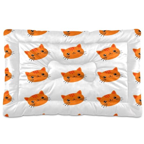 Waassud Dickes Hundebett für Katzen, rutschfest, kaufest, weich, waschbar, für Boden, Sofa, Auto, 45,7 x 61 cm, Orange Waassud Dickes Hundebett für Katzen, rutschfest, kaufest, weich, waschbar, für Boden, Sofa, Auto, 45,7 x 61 cm, Orange von Waassud
