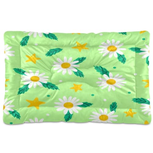 Waassud Dickes Hundebett mit Kamillenblumen, rutschfest, kaufest, Haustierbett für Hunde und Katzen, weich, waschbar, Hundehütte, Kistenunterlage für Boden, Sofa, Auto, 91,4 x 61 cm Waassud Dickes Hundebett mit Kamillenblumen, rutschfest, kaufest, Haustierbett für Hunde und Katzen, weich, waschbar, Hundehütte, Kistenunterlage für Boden, Sofa, Auto, 91,4 x 61 cm von Waassud