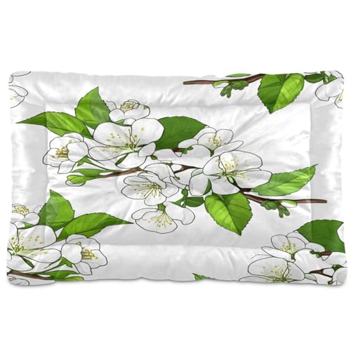 Waassud Dickes Hundebett mit Kirschblüten-Blumen, rutschfest, kauresistent, Haustierbett für Hunde, Katzen, weich, waschbar, Hundehüttenkissen für Boden, Sofa, Auto, 45,7 x 61 cm Waassud Dickes Hundebett mit Kirschblüten-Blumen, rutschfest, kauresistent, Haustierbett für Hunde, Katzen, weich, waschbar, Hundehüttenkissen für Boden, Sofa, Auto, 45,7 x 61 cm von Waassud