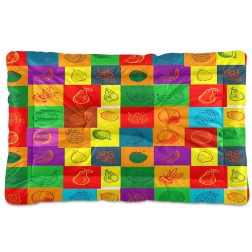 Waassud Dickes Hundebett mit bunten Früchten, rutschfest, kaufest, Haustierbett für Hunde und Katzen, weich, waschbar, für Boden, Sofa, Auto, 91,4 x 61 cm von Waassud