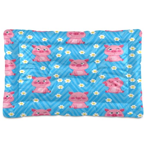 Waassud Dickes Hundebett mit niedlichen Schweinen, rutschfest, kaufest, Haustierbett für Hunde und Katzen, weich, waschbar, Hundehüttenkissen für Boden, Sofa, Auto, 45,7 x 61 cm Waassud Dickes Hundebett mit niedlichen Schweinen, rutschfest, kaufest, Haustierbett für Hunde und Katzen, weich, waschbar, Hundehüttenkissen für Boden, Sofa, Auto, 45,7 x 61 cm von Waassud
