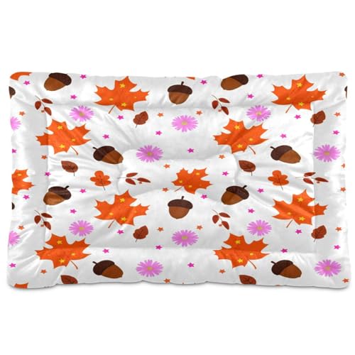 Waassud Dickes Hundebett mit orangefarbenen Ahornblättern, rutschfest, kaufest, Haustierbett für Hunde und Katzen, weich, waschbar, Hundehüttenkissen für Boden, Sofa, Auto, 45,7 x 61 cm Waassud Dickes Hundebett mit orangefarbenen Ahornblättern, rutschfest, kaufest, Haustierbett für Hunde und Katzen, weich, waschbar, Hundehüttenkissen für Boden, Sofa, Auto, 45,7 x 61 cm von Waassud