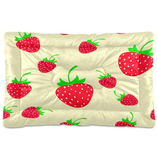 Waassud Erdbeeren mit Blättern, dickes Hundebett, rutschfest, kaufest, Haustierbett für Hunde, Katzen, weich, waschbar, Hundehüttenkissen für Boden, Sofa, Auto, 45,7 x 61 cm von Waassud