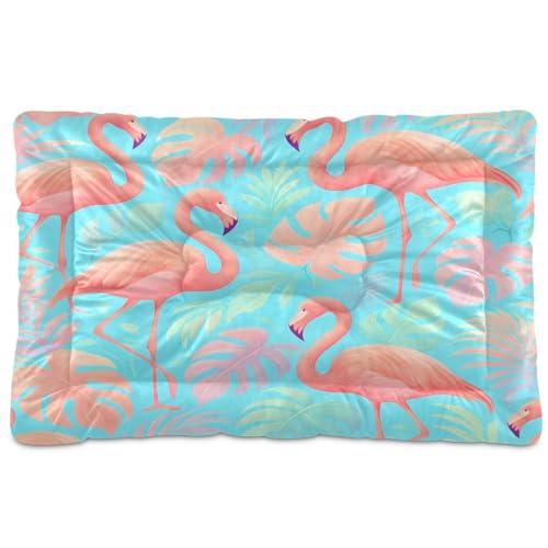 Waassud Flamingos And-Pastell Tropische Blätter Dicke Hundebett-Matte Rutschfest Kaufest Haustierbett für Hunde Katzen Weich Waschbar Zwinger Kistenunterlage für Boden Sofa Auto 91,4 x 61 cm Waassud Flamingos And-Pastell Tropische Blätter Dicke Hundebett-Matte Rutschfest Kaufest Haustierbett für Hunde Katzen Weich Waschbar Zwinger Kistenunterlage für Boden Sofa Auto 91,4 x 61 cm von Waassud