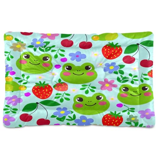 Waassud Frog Happy dicke Hundebett-Matte, rutschfest, kaufest, Haustierbett für Hunde und Katzen, weich, waschbar, Hundehütte, Kistenunterlage für Boden, Sofa, Auto, 91,4 x 61 cm von Waassud