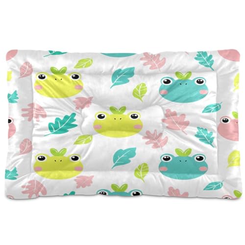 Waassud Frogs dicke Hundebett-Matte, rutschfest, kaufest, Haustierbett für Hunde und Katzen, weich, waschbar, Hundehüttenkissen für Boden, Sofa, Auto, 45,7 x 61 cm Waassud Frogs dicke Hundebett-Matte, rutschfest, kaufest, Haustierbett für Hunde und Katzen, weich, waschbar, Hundehüttenkissen für Boden, Sofa, Auto, 45,7 x 61 cm von Waassud
