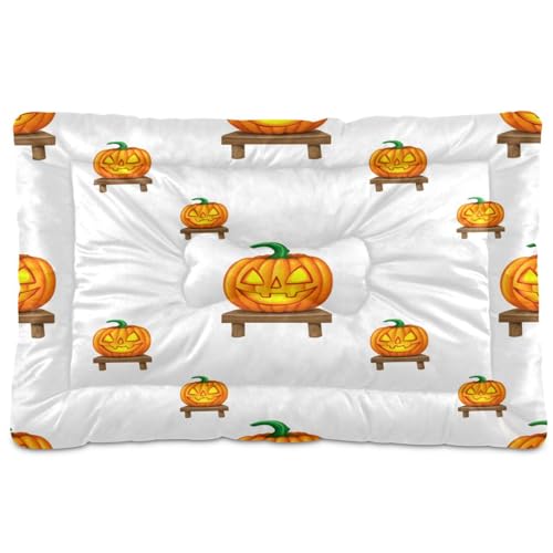 Waassud Glowing Pumpkins Thick Dog Bed Mat Non-Slip Chew-Resistant Pet Bed for Dogs Cats Soft Washable Kennel Crate Pad for Floor Sofa Car 45.7 cm x 61.0 cm von Waassud