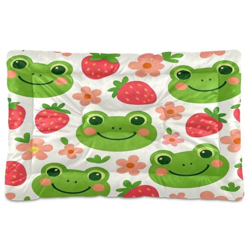 Waassud Grüner Frosch dicke Hundebett-Matte, rutschfest, kaufest, Haustierbett für Hunde und Katzen, weich, waschbar, Hundehütte, Kistenunterlage für Boden, Sofa, Auto, 45,7 x 61 cm Waassud Grüner Frosch dicke Hundebett-Matte, rutschfest, kaufest, Haustierbett für Hunde und Katzen, weich, waschbar, Hundehütte, Kistenunterlage für Boden, Sofa, Auto, 45,7 x 61 cm von Waassud