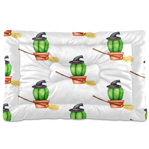 Waassud Kakteen mit Hexenhut, dickes Hundebett, Matte, rutschfest, kaufest, Haustierbett für Hunde, Katzen, weich, waschbar, Hundehütte, Kistenunterlage für Boden, Sofa, Auto, 45,7 x 61 cm Waassud Kakteen mit Hexenhut, dickes Hundebett, Matte, rutschfest, kaufest, Haustierbett für Hunde, Katzen, weich, waschbar, Hundehütte, Kistenunterlage für Boden, Sofa, Auto, 45,7 x 61 cm von Waassud