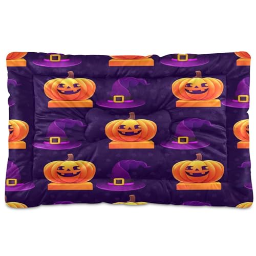 Waassud Kürbis mit Hexenhut, dickes Hundebett, Matte, rutschfest, kaufest, Haustierbett für Hunde, Katzen, weich, waschbar, Hundehütte, Kistenpolster für Boden, Sofa, Auto, 45,7 x 61 cm von Waassud