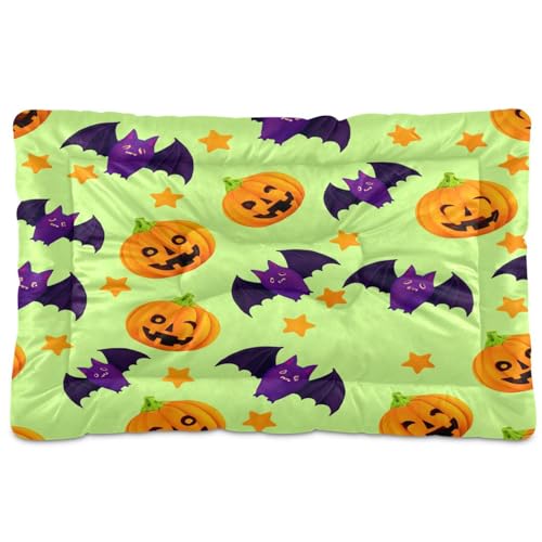 Waassud Kürbisse Fledermaus Halloween Dickes Hundebett Matte Rutschfest Kaufest Haustierbett für Hunde Katzen Weich Waschbar Zwinger Box Pad für Boden Sofa Auto 91,4 x 61 cm Waassud Kürbisse Fledermaus Halloween Dickes Hundebett Matte Rutschfest Kaufest Haustierbett für Hunde Katzen Weich Waschbar Zwinger Box Pad für Boden Sofa Auto 91,4 x 61 cm von Waassud