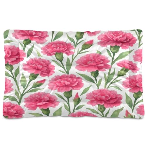 Waassud Nelkenblumen-dicke Hundebett-Matte, rutschfest, kaufest, Haustierbett für Hunde und Katzen, weich, waschbar, Hundehütte, Kistenunterlage für Boden, Sofa, Auto, 45,7 x 61 cm Waassud Nelkenblumen-dicke Hundebett-Matte, rutschfest, kaufest, Haustierbett für Hunde und Katzen, weich, waschbar, Hundehütte, Kistenunterlage für Boden, Sofa, Auto, 45,7 x 61 cm von Waassud