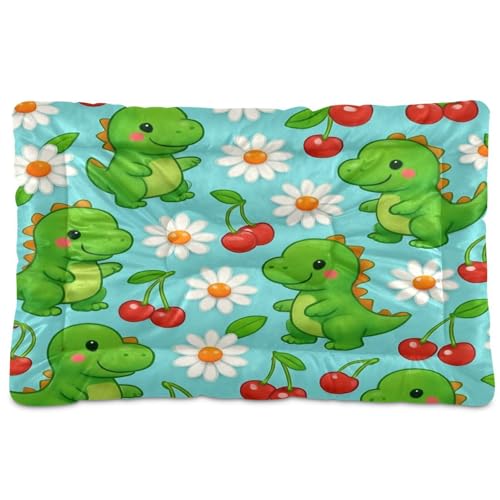 Waassud Niedliche Dinosaurier-Hundebett-Matte, rutschfest, kaufest, Haustierbett für Hunde und Katzen, weich, waschbar, Hundehütte, Kistenunterlage für Boden, Sofa, Auto, 91,4 x 61 cm Waassud Niedliche Dinosaurier-Hundebett-Matte, rutschfest, kaufest, Haustierbett für Hunde und Katzen, weich, waschbar, Hundehütte, Kistenunterlage für Boden, Sofa, Auto, 91,4 x 61 cm von Waassud