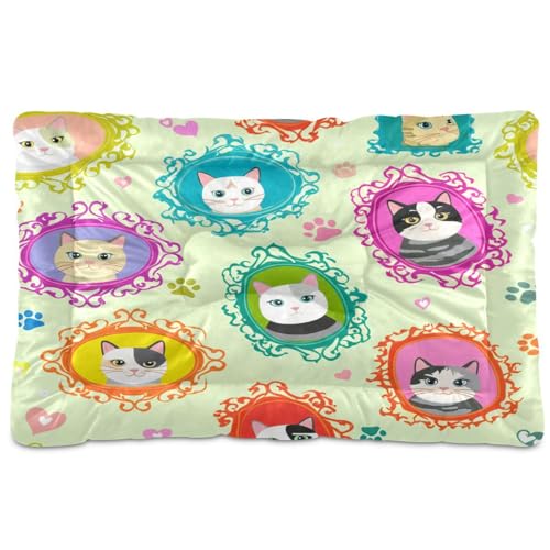 Waassud Niedliche Katzen, dicke Hundebett-Matte, rutschfest, kaufest, Haustierbett für Hunde, Katzen, weich, waschbar, Hundehütte, Kistenunterlage für Boden, Sofa, Auto, 45,7 x 61 cm Waassud Niedliche Katzen, dicke Hundebett-Matte, rutschfest, kaufest, Haustierbett für Hunde, Katzen, weich, waschbar, Hundehütte, Kistenunterlage für Boden, Sofa, Auto, 45,7 x 61 cm von Waassud