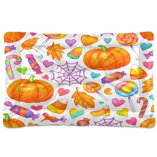 Waassud Niedliche Kürbisse, Halloween-Hundebett, Matte, rutschfest, kaufest, Haustierbett für Hunde, Katzen, weich, waschbar, Hundehütte, Kistenunterlage für Boden, Sofa, Auto, 91,4 x 61 cm Waassud Niedliche Kürbisse, Halloween-Hundebett, Matte, rutschfest, kaufest, Haustierbett für Hunde, Katzen, weich, waschbar, Hundehütte, Kistenunterlage für Boden, Sofa, Auto, 91,4 x 61 cm von Waassud