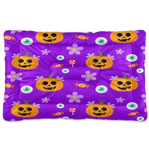 Waassud Niedliche Kürbisse, dick, rutschfest, kaufest, Haustierbett für Hunde und Katzen, weich, waschbar, Hundehüttenkissen für Boden, Sofa, Auto, 45,7 x 61 cm von Waassud