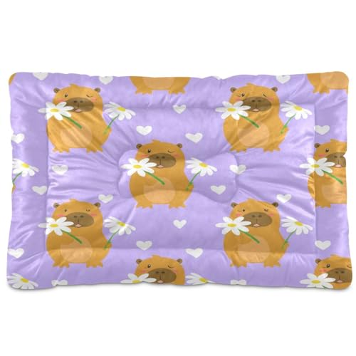 Waassud Niedliches Kapybara dickes Hundebett, rutschfest, kauresistent, Haustierbett für Hunde und Katzen, weich, waschbar, Hundehüttenkissen für Boden, Sofa, Auto, 45,7 x 61 cm von Waassud