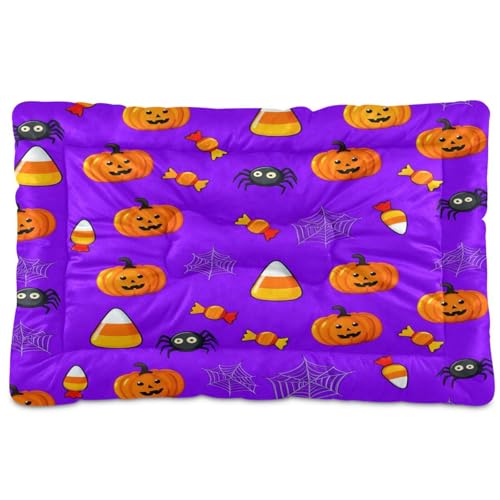 Waassud Pumpkins Candies Dickes Hundebett, rutschfest, kaufest, Haustierbett für Hunde und Katzen, weich, waschbar, Hundehüttenkissen für Boden, Sofa, Auto, 45,7 x 61 cm Waassud Pumpkins Candies Dickes Hundebett, rutschfest, kaufest, Haustierbett für Hunde und Katzen, weich, waschbar, Hundehüttenkissen für Boden, Sofa, Auto, 45,7 x 61 cm von Waassud