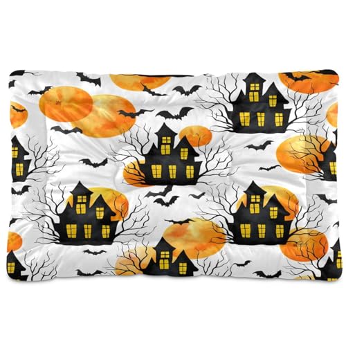Waassud Spooky Haunted Houses Dickes Hundebett, Matte, rutschfest, kaufest, Haustierbett für Hunde, Katzen, weich, waschbar, Hundehütte, Kistenunterlage für Boden, Sofa, Auto, 91,4 x 61 cm Waassud Spooky Haunted Houses Dickes Hundebett, Matte, rutschfest, kaufest, Haustierbett für Hunde, Katzen, weich, waschbar, Hundehütte, Kistenunterlage für Boden, Sofa, Auto, 91,4 x 61 cm von Waassud