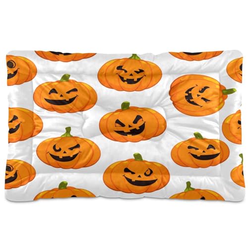 Waassud Verspielte Kürbisse Halloween Dickes Hundebett Matte Rutschfest Kaufest Haustierbett für Hunde Katzen Weich Waschbar Zwinger Kiste Pad für Boden Sofa Auto 91,4 x 61 cm Waassud Verspielte Kürbisse Halloween Dickes Hundebett Matte Rutschfest Kaufest Haustierbett für Hunde Katzen Weich Waschbar Zwinger Kiste Pad für Boden Sofa Auto 91,4 x 61 cm von Waassud