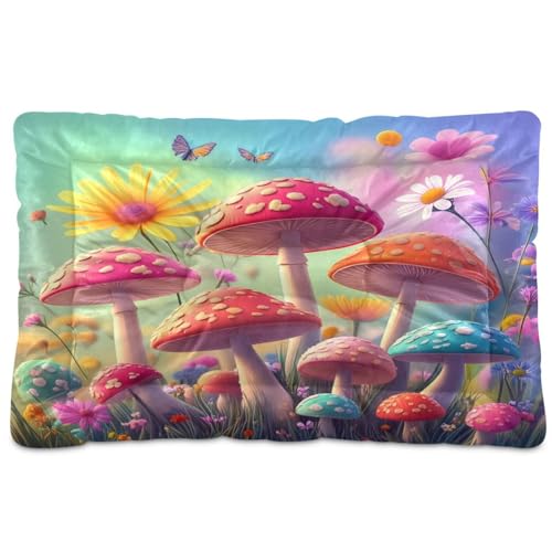 Waassud Whimsical Mushrooms Thick Dog Bed Mat Non-Slip Chew-Resistant Pet Bed for Dogs Cats Soft Washable Kennel Crate Pad for Floor Sofa Car 91.4 cm x 61.0 cm Waassud Whimsical Mushrooms Thick Dog Bed Mat Non-Slip Chew-Resistant Pet Bed for Dogs Cats Soft Washable Kennel Crate Pad for Floor Sofa Car 91.4 cm x 61.0 cm von Waassud