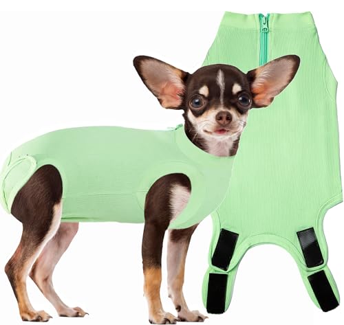 Wabdhaly Hunde-Genesungsanzug, weiblicher Spay Chirurgie-Einteiler für kleine Welpen, blanko, grün, XS von Wabdhaly