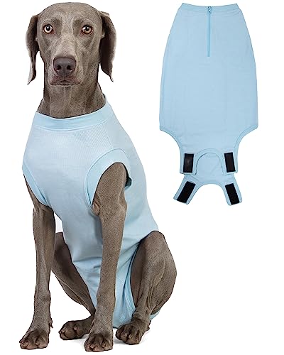 Wabdhaly Hunde-Genesungsanzug mit Reißverschluss für männliche Neutral-Chirurgie, weiblicher Spay Recovery-Einteiler, E-Halsband und Kegel, Alternative, chirurgischer kleiner Genesungsanzug, von Wabdhaly